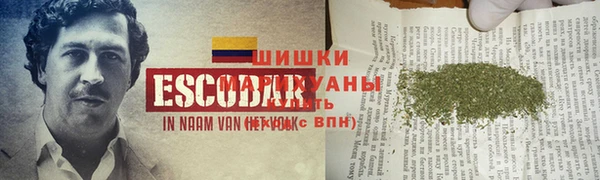 apvp Богданович