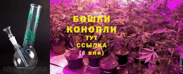 apvp Богданович