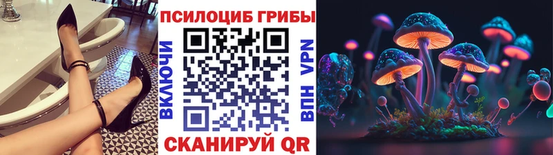 Псилоцибиновые грибы Psilocybe Красноуральск